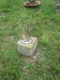 image of grave number 809550